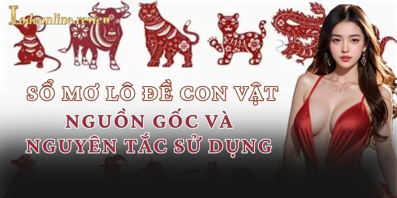 Nguồn gốc và nguyên tắc sử dụng