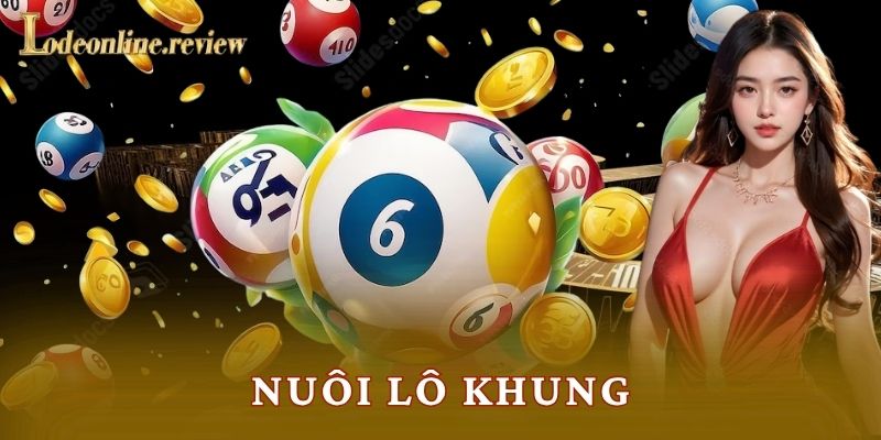 Nuôi Lô Khung Hiệu Quả