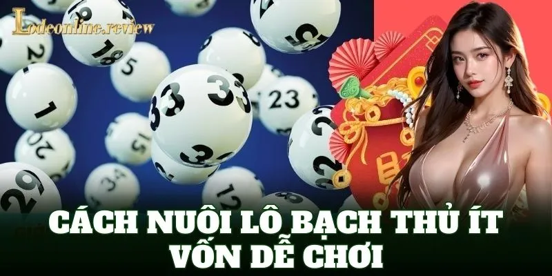 Cách Nuôi Lô Bạch Thủ ít vốn dễ chơi