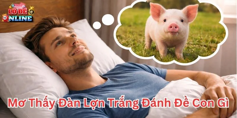 Mơ thấy đàn lợn trắng đánh đề con gì và điềm báo tài lộc