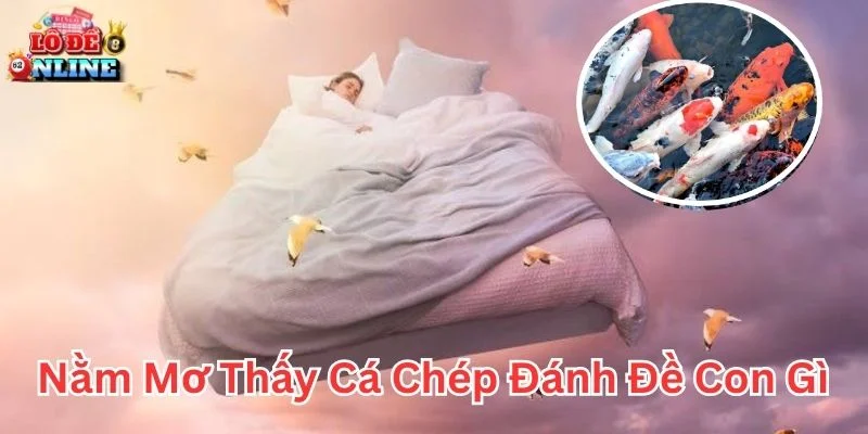 Nằm mơ thấy cá chép đánh đề con gì theo từng trường hợp