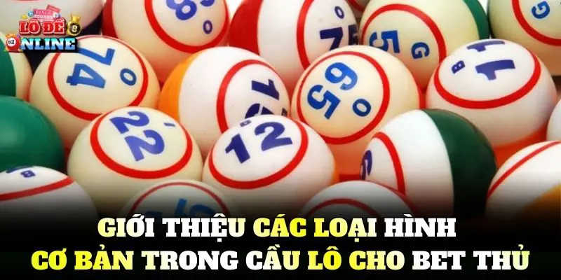 Giới thiệu các loại hình cơ bản trong cầu lô cho bet thủ