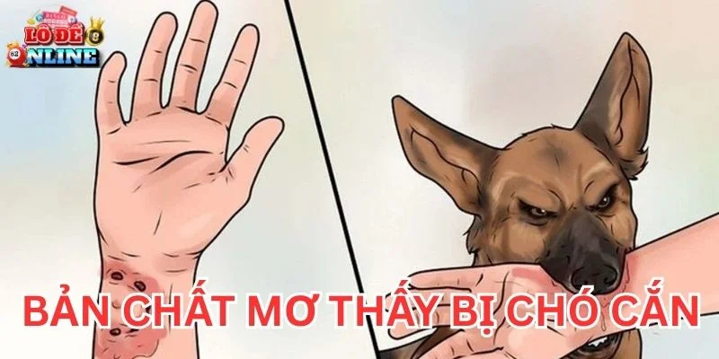 Bản chất Mơ Thấy Bị Chó Cắn