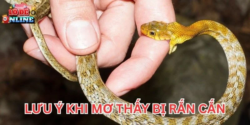 Lưu ý khi Mơ Thấy Bị Rắn Cắn