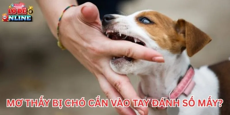 Mơ Thấy Bị Chó Cắn vào tay đánh số mấy?