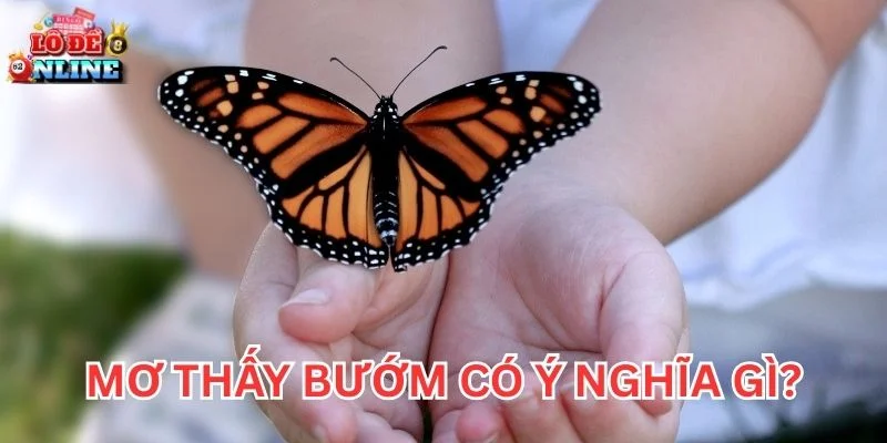 Mơ Thấy Bướm có ý nghĩa gì?