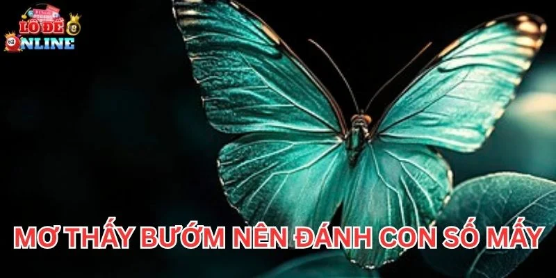 Mơ Thấy Bướm nên đánh con số mấy?