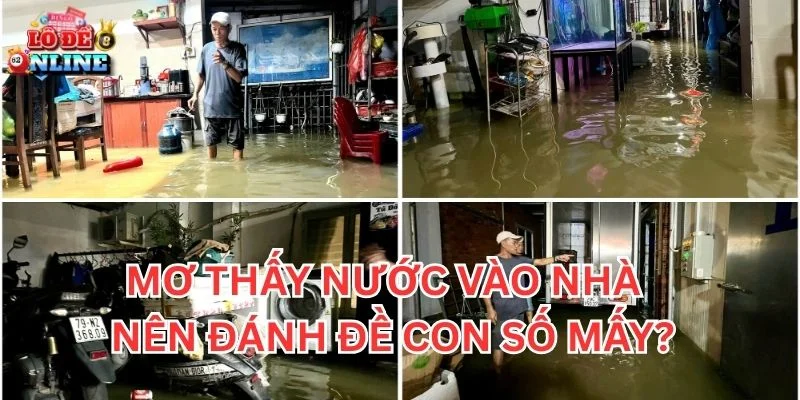 Mơ Thấy Nước Vào Nhà nên đánh đề con số mấy?