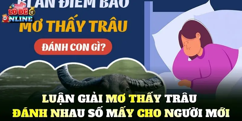 Luận giải Mơ Thấy Trâu Đánh Nhau Số Mấy cho người mới