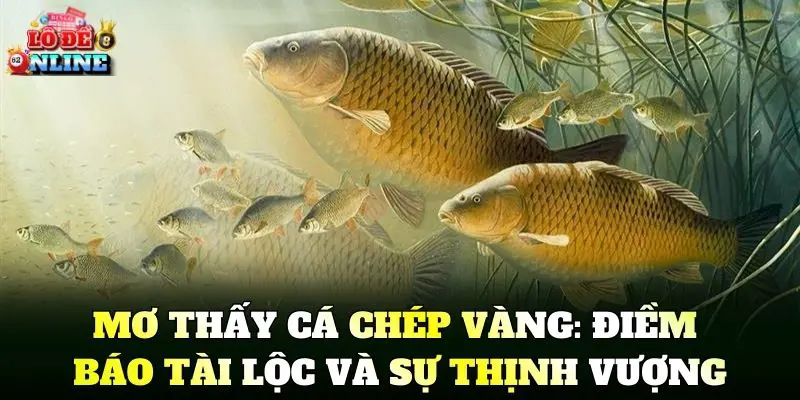 Mơ Thấy Cá Chép Vàng: Điềm báo tài lộc và sự thịnh vượng