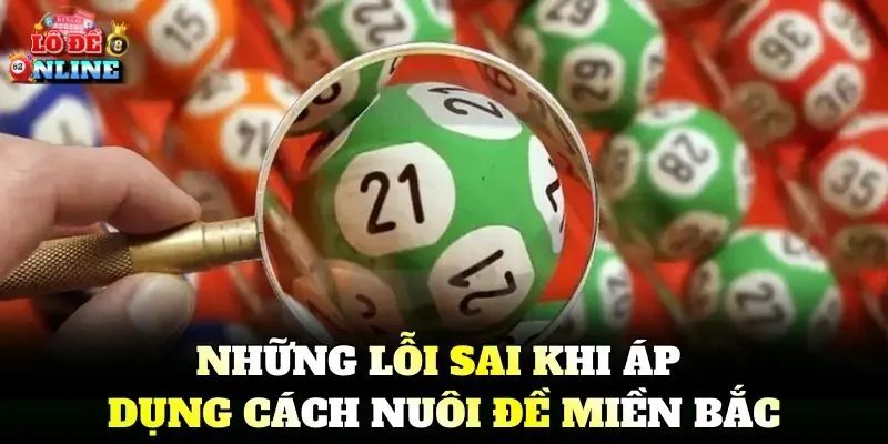 Những lỗi sai khi áp dụng cách nuôi đề miền Bắc