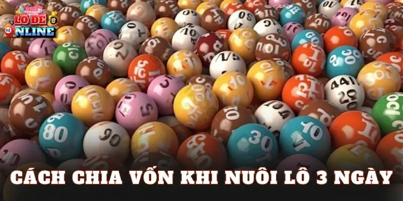 Cách chia vốn khi nuôi lô 3 ngày