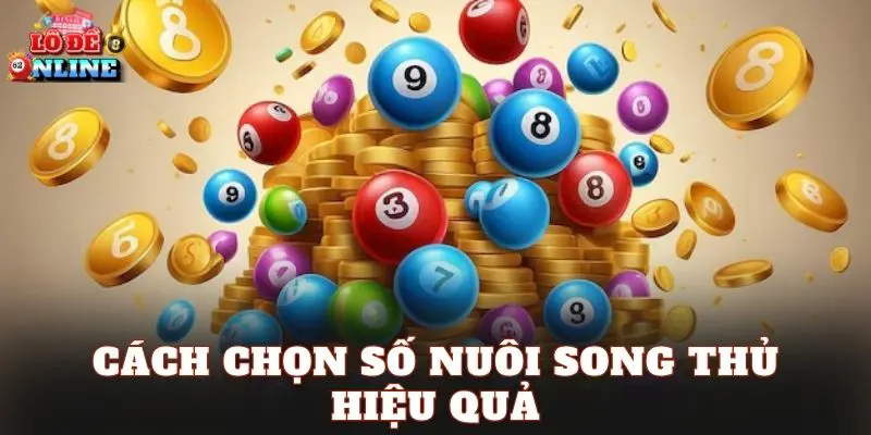 Cách chọn số nuôi song thủ hiệu quả