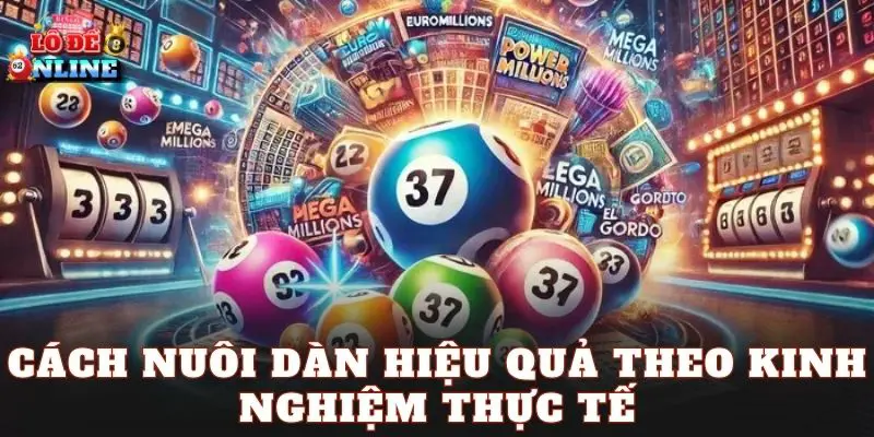Cách nuôi dàn hiệu quả theo kinh nghiệm thực tế