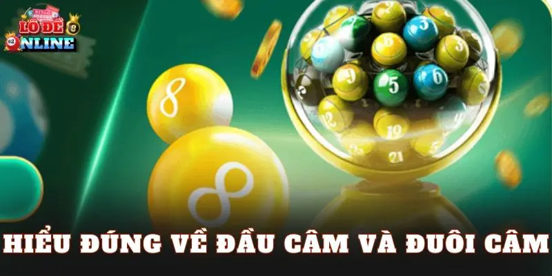 Hiểu đúng về đầu câm và đuôi câm