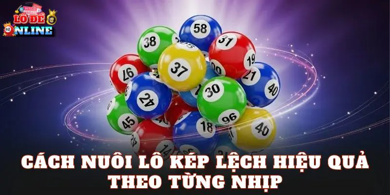 Cách nuôi lô kép lệch hiệu quả theo từng nhịp