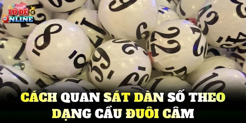 Cách quan sát dàn số theo dạng cầu đuôi câm