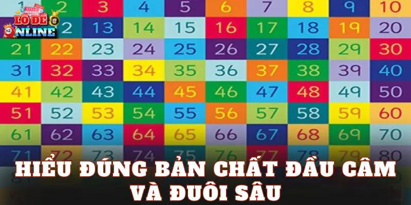 Hiểu đúng bản chất đầu câm và đuôi sâu