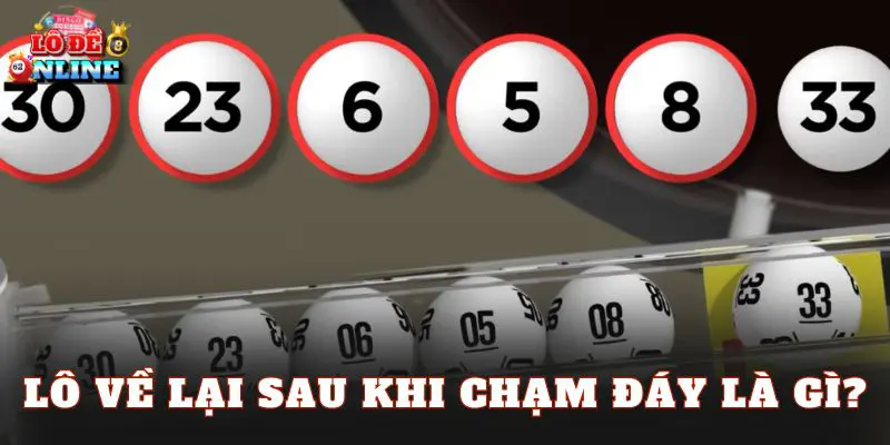 Lô về lại sau khi chạm đáy là gì?