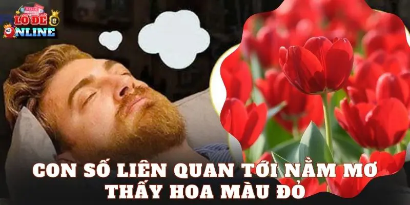 Con số liên quan tới nằm mơ thấy hoa màu đỏ