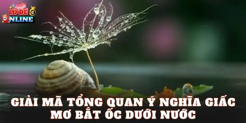 Giải mã tổng quan ý nghĩa giấc mơ bắt ốc dưới nước
