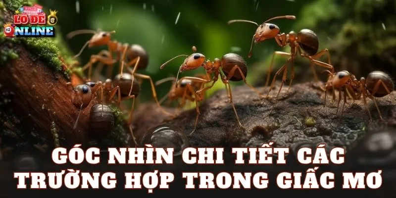Góc nhìn chi tiết các trường hợp trong giấc mơ