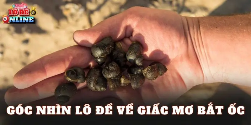 Góc nhìn lô đề về giấc mơ bắt ốc