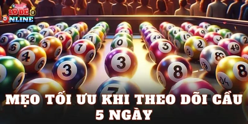 Mẹo tối ưu khi theo dõi cầu 5 ngày