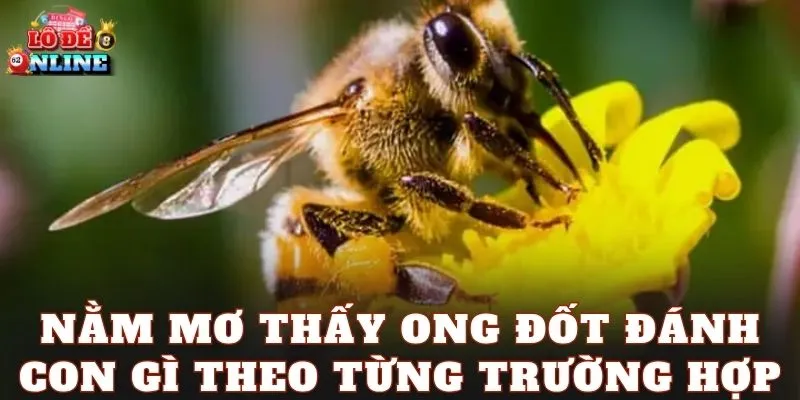 Nằm mơ thấy ong đốt đánh con gì theo từng trường hợp