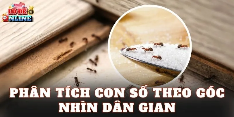 Phân tích con số theo góc nhìn dân gian