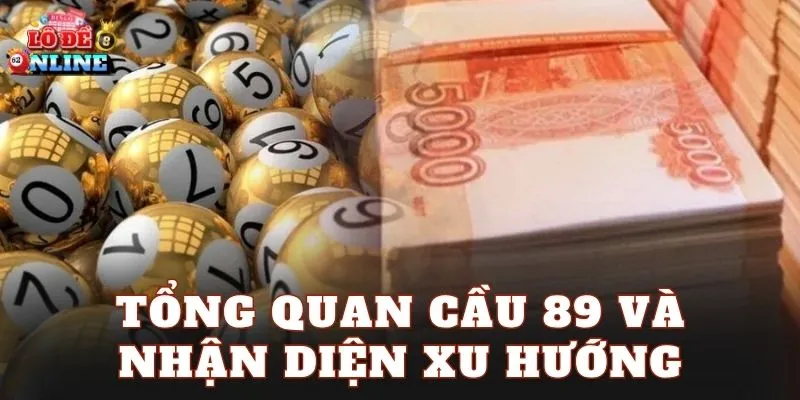 Tổng quan cầu 89 và nhận diện xu hướng