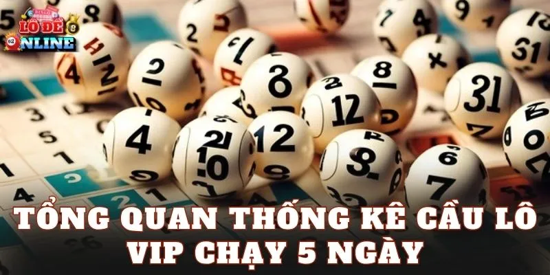Tổng quan thống kê cầu lô vip chạy 5 ngày