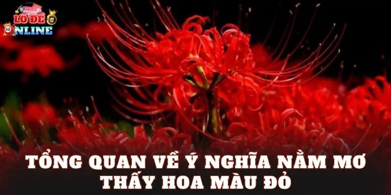 Tổng quan về ý nghĩa nằm mơ thấy hoa màu đỏ