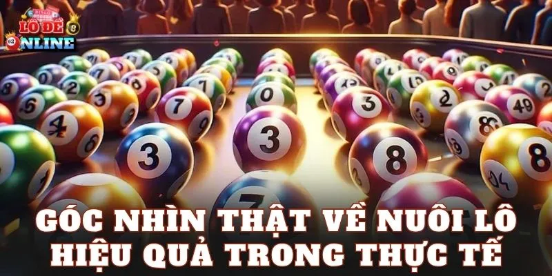 Góc nhìn thật về nuôi lô hiệu quả trong thực tế
