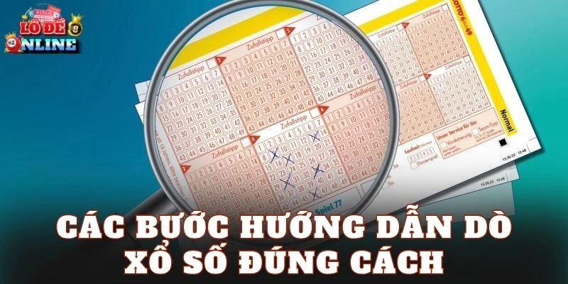 Các bước hướng dẫn dò xổ số đúng cách