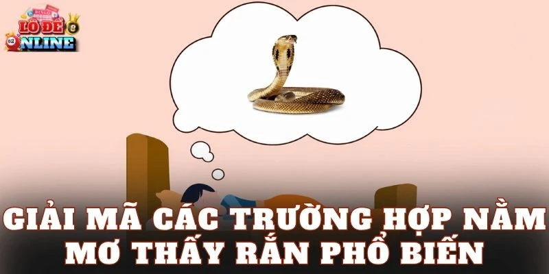 Giải mã các trường hợp nằm mơ thấy rắn phổ biến