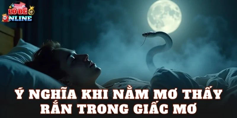 Ý nghĩa khi nằm mơ thấy rắn trong giấc mơ